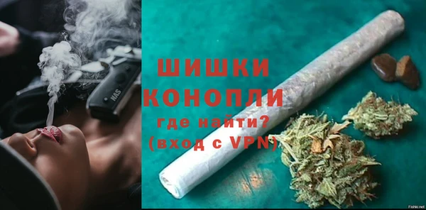 шишки Абаза