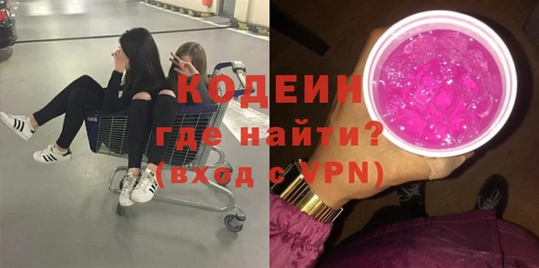 шишки Абаза