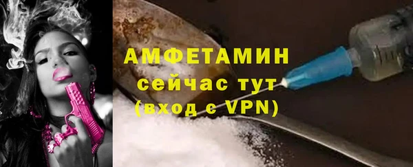 шишки Абаза