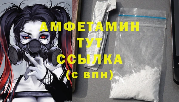 шишки Абаза