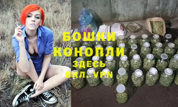 шишки Абаза