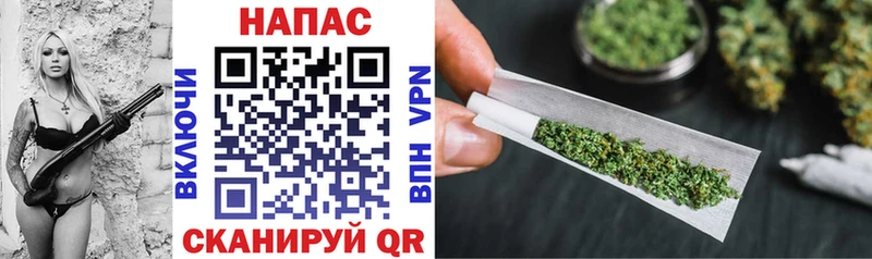 OMG зеркало  что такое наркотик  Туран  МАРИХУАНА SATIVA & INDICA 